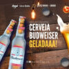 Imagem do Produto Pack de Posts para Delivery de Bebidas com Artes Editáveis no Canva